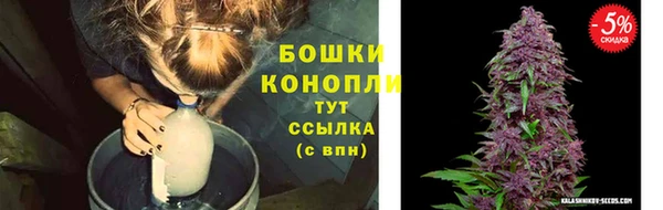 эйфоретик Костерёво
