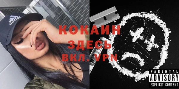 прущие грибы Краснотурьинск