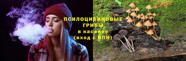трава Кулебаки