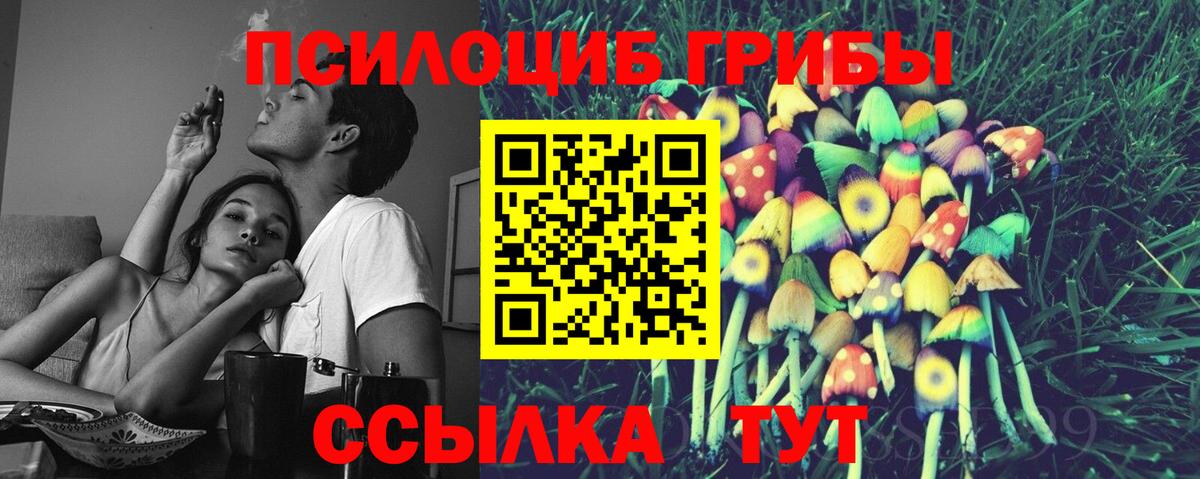 Псилоцибиновые грибы мицелий Кумертау